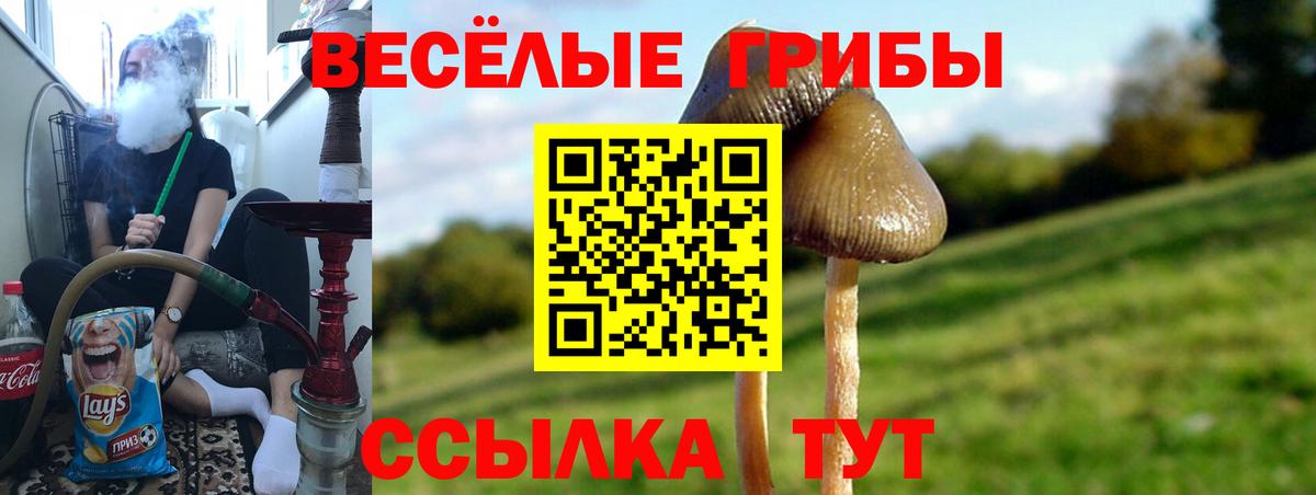 Псилоцибиновые грибы Magic Shrooms  Вход с VPN  Ипатово 